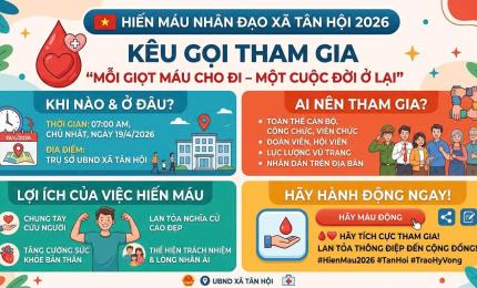 Với tinh thần “Mỗi giọt máu cho đi – Một cuộc đời ở lại”, Ủy ban nhân dân xã Tân Hội trân trọng kêu gọi toàn thể cán bộ, công chức, viên chức, đoàn viên, hội viên, lực lượng vũ trang và Nhân dân trên địa bàn xã tích cực tham gia hiến máu nhân đạo để chung tay cứu người, lan tỏa nghĩa cử cao đẹp trong cộng đồng.